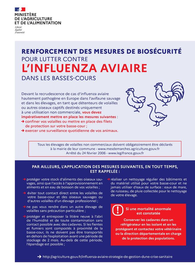 l'influenza aviaire